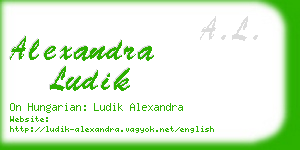 alexandra ludik business card